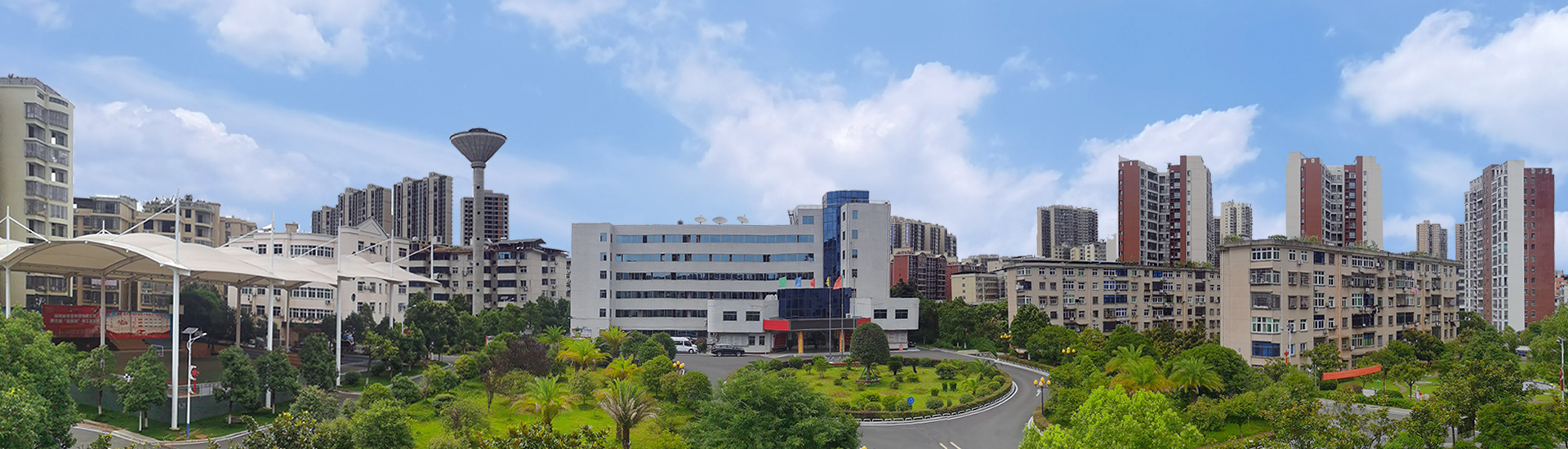 ̫���ɡ�(�й���)���޹�˾����