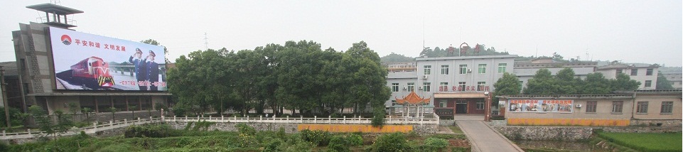 ̫���ɡ�(�й���)���޹�˾����