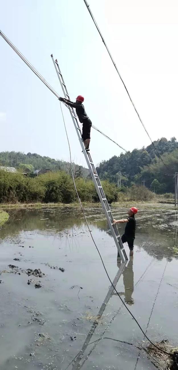 ̫���ɡ�(�й���)���޹�˾����