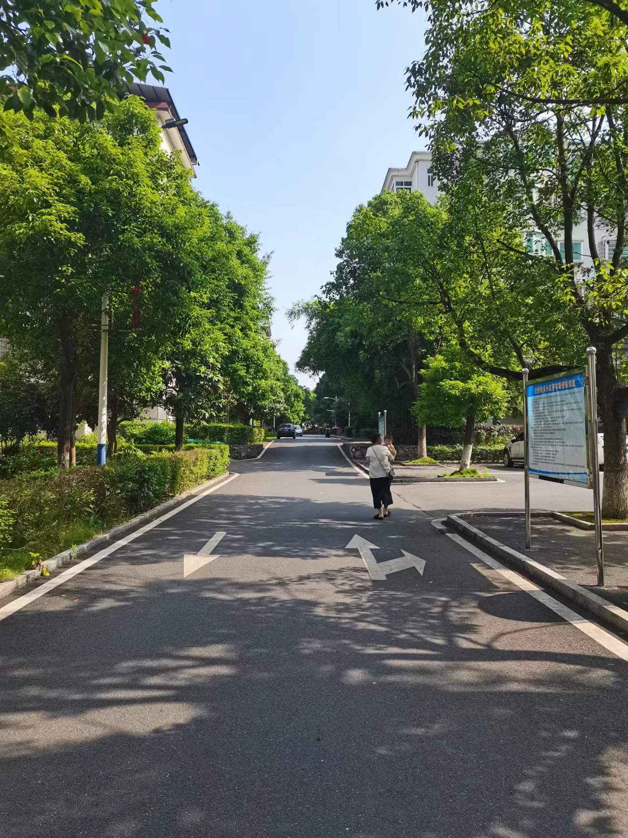 ̫���ɡ�(�й���)���޹�˾����